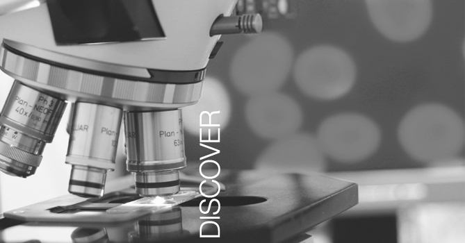Discover Gray