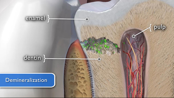 Dentistry | NorthShore