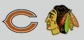 Official Healthcare Partner of the Chicago Bears and Chicago Blackhawks
