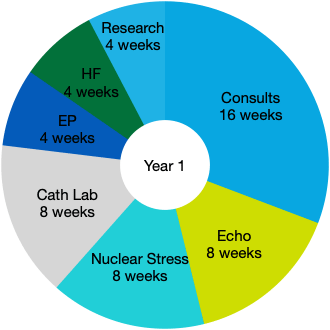 Year 1 pie chart