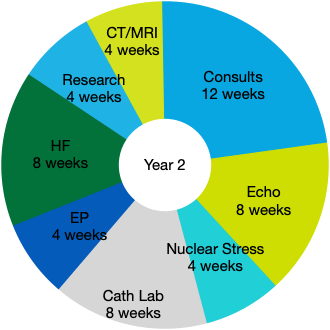 Year 2 pie chart