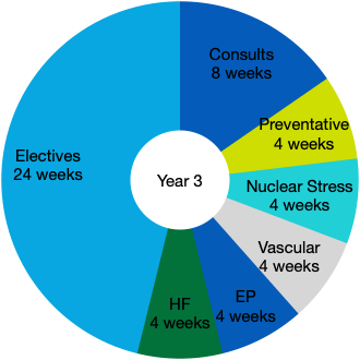 Year 3 pie chart