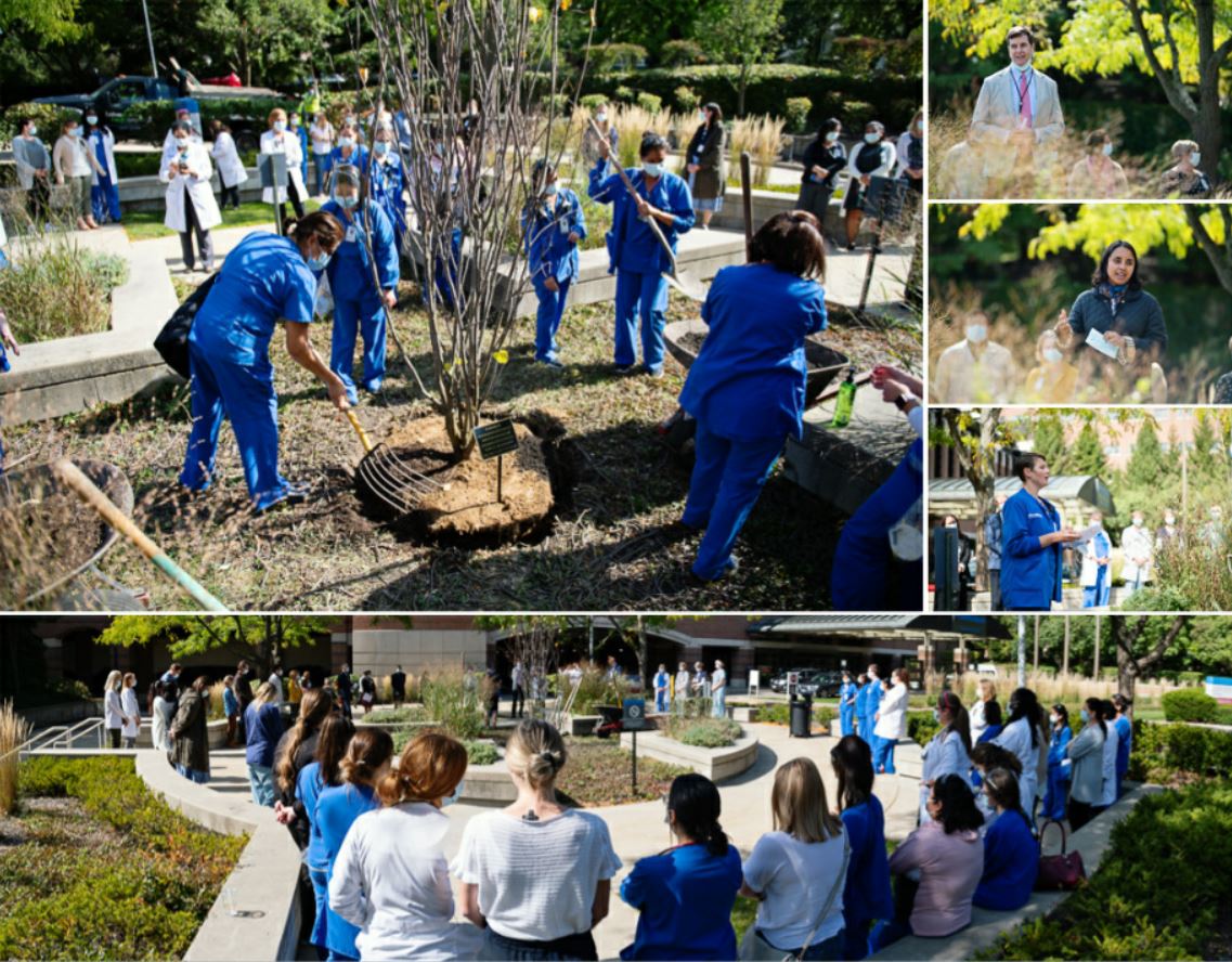 Tree Memorial Ceremony