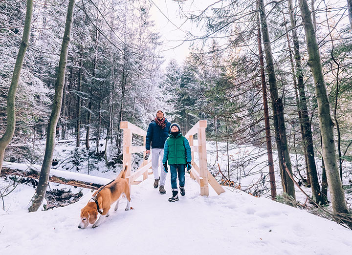 Walking in the Winter