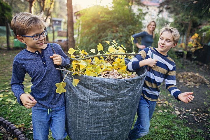 Winterize Your Garden 