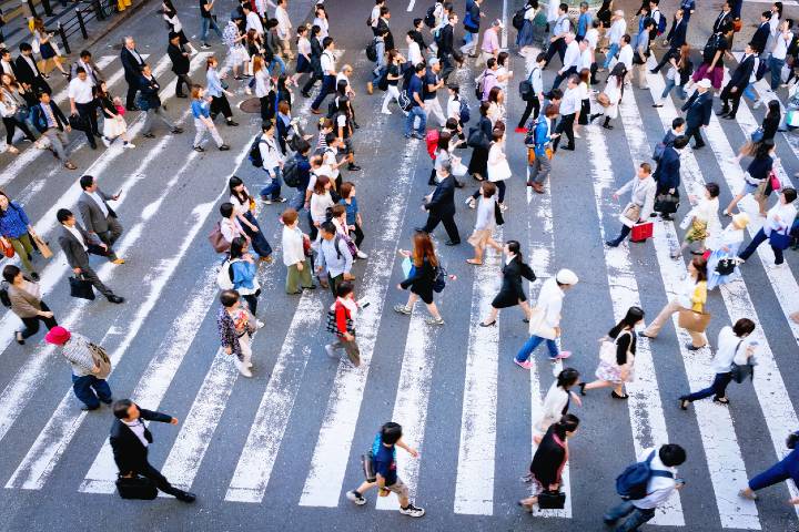 Many people cross the street on a zebra crossing in the Osaka
