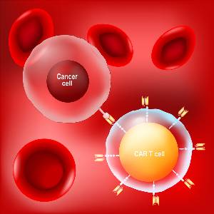 Cancer cell, CAR t-cell (lymphocyte) and red blood cells on red background. vector Poster about immunotherapy or chemotherapy cancer.